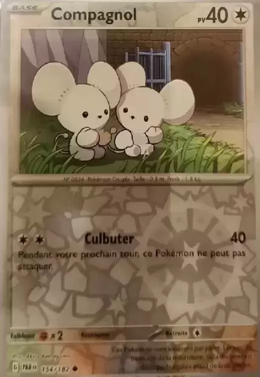 Faille Paradoxe - PARFR - Compagnol Reverse