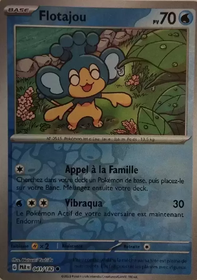 Faille Paradoxe - PARFR - Flotajou Reverse