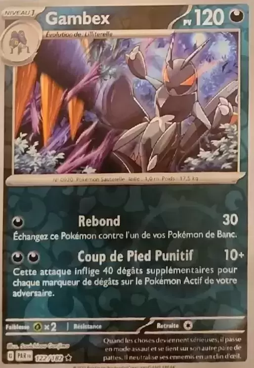 Faille Paradoxe - PARFR - Gambex Reverse
