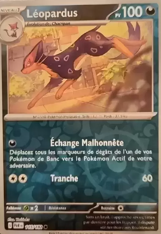 Faille Paradoxe - PARFR - Léopardus Reverse