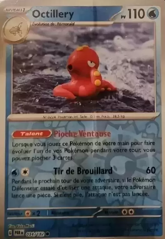 Faille Paradoxe - PARFR - Octillery Reverse