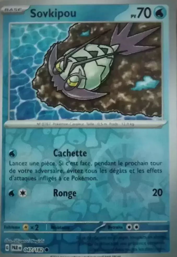 Faille Paradoxe - PARFR - Sovkipou Reverse