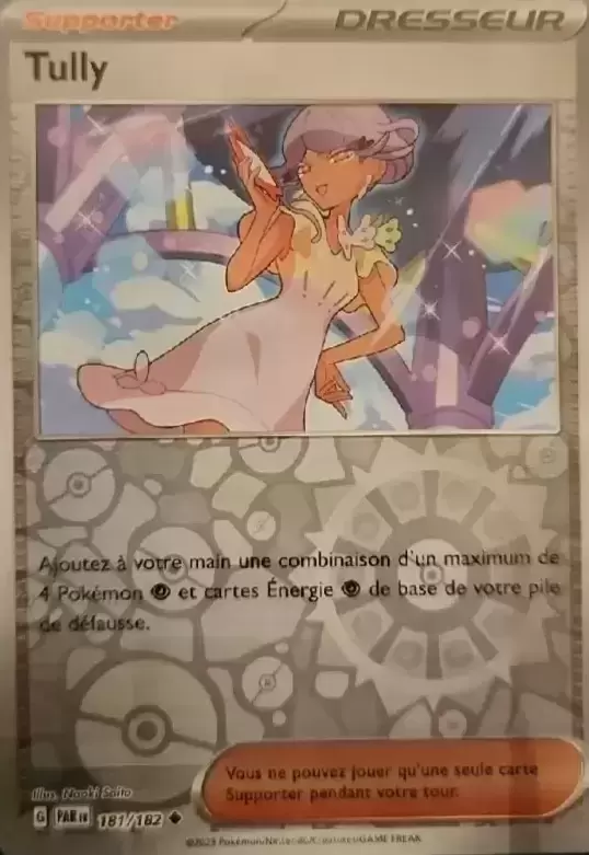 Faille Paradoxe - PARFR - Tully Reverse
