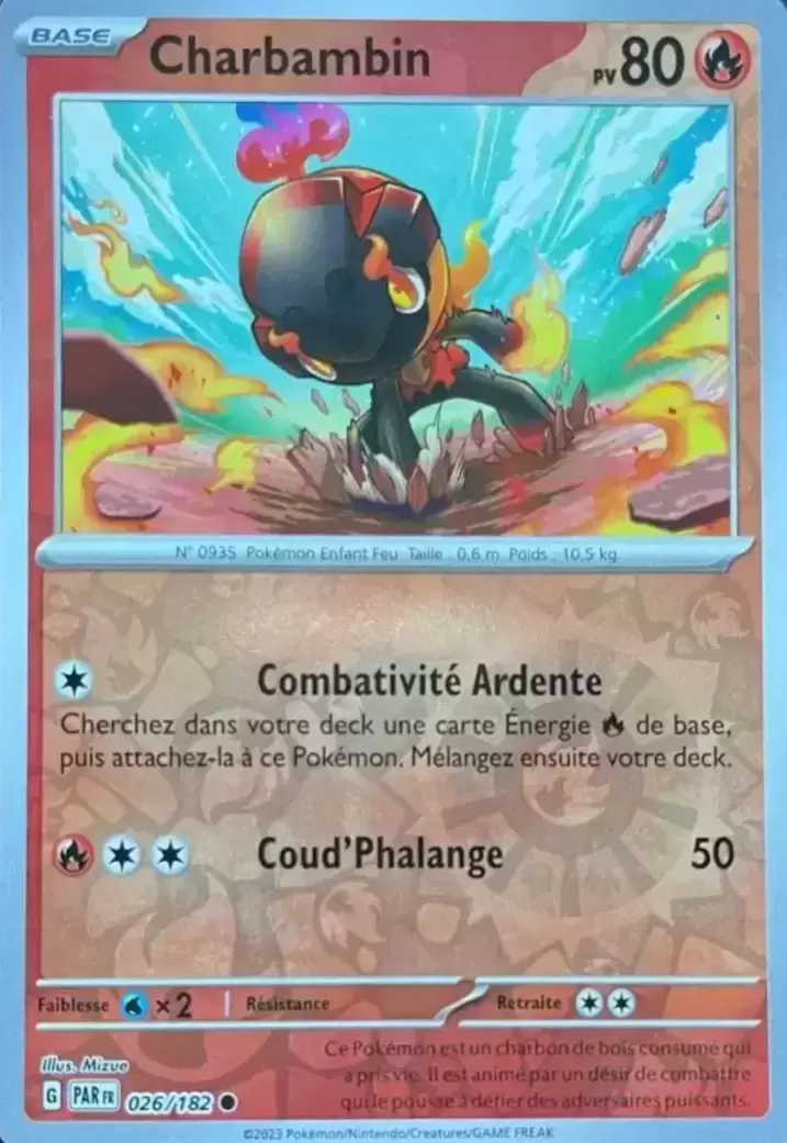 Faille Paradoxe - PARFR - Charbambin Reverse