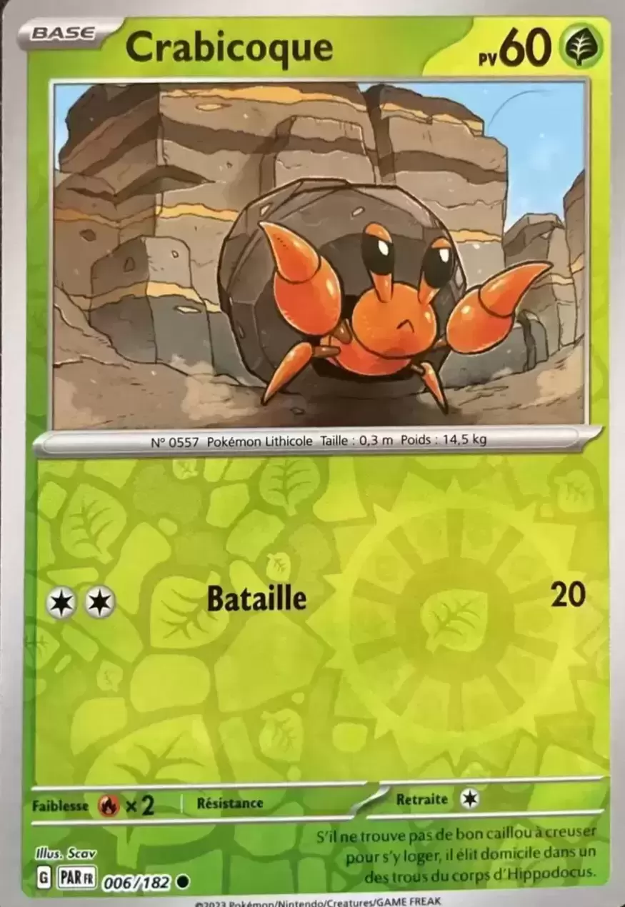 Faille Paradoxe - PARFR - Crabicoque Reverse