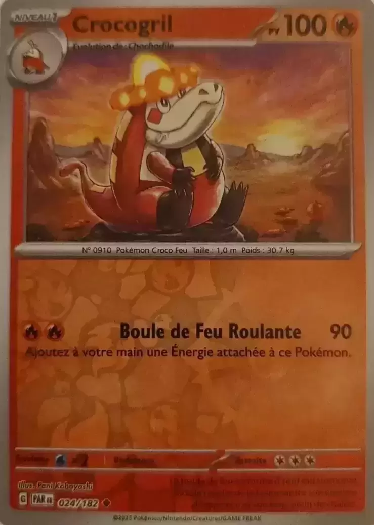 Faille Paradoxe - PARFR - Crocogril Reverse