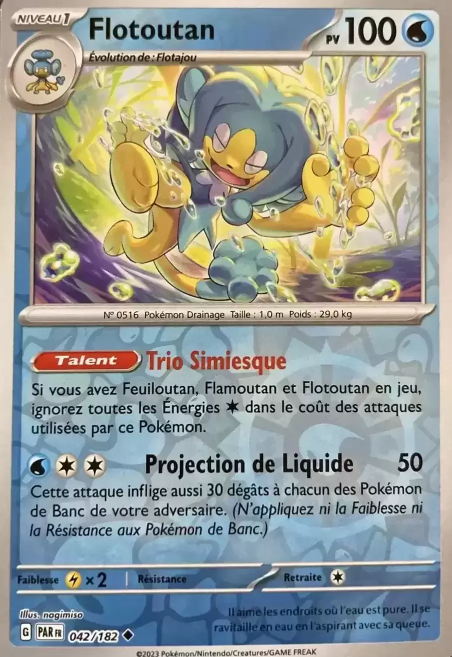 Faille Paradoxe - PARFR - Flotoutan Reverse