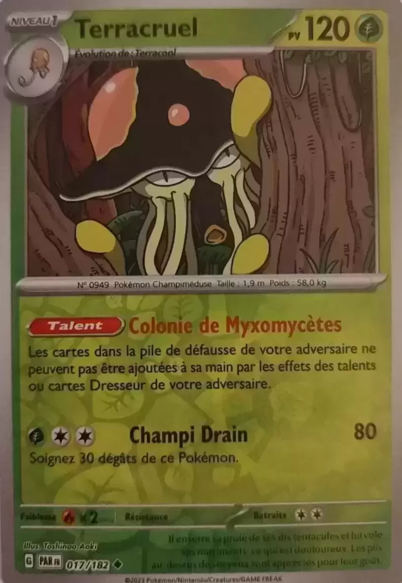 Faille Paradoxe - PARFR - Terracruel Reverse