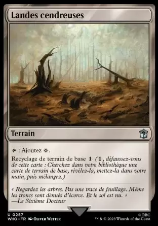 Doctor Who - Landes cendreuses