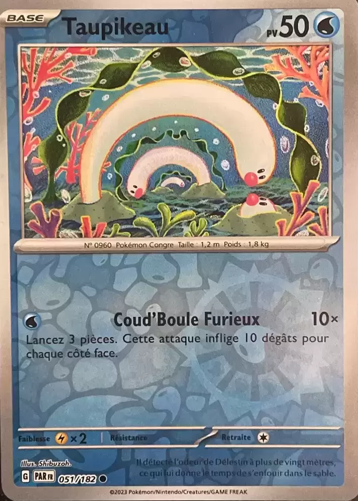 Faille Paradoxe - PARFR - Taupikeau Reverse