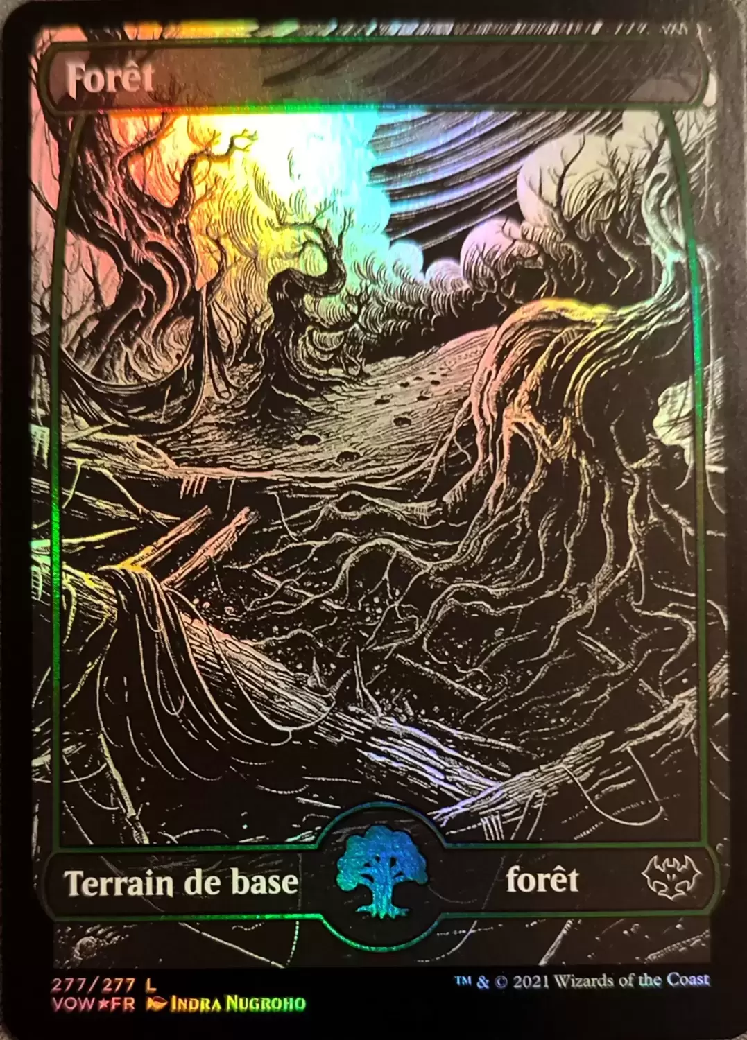 Extension - Forêt Foil