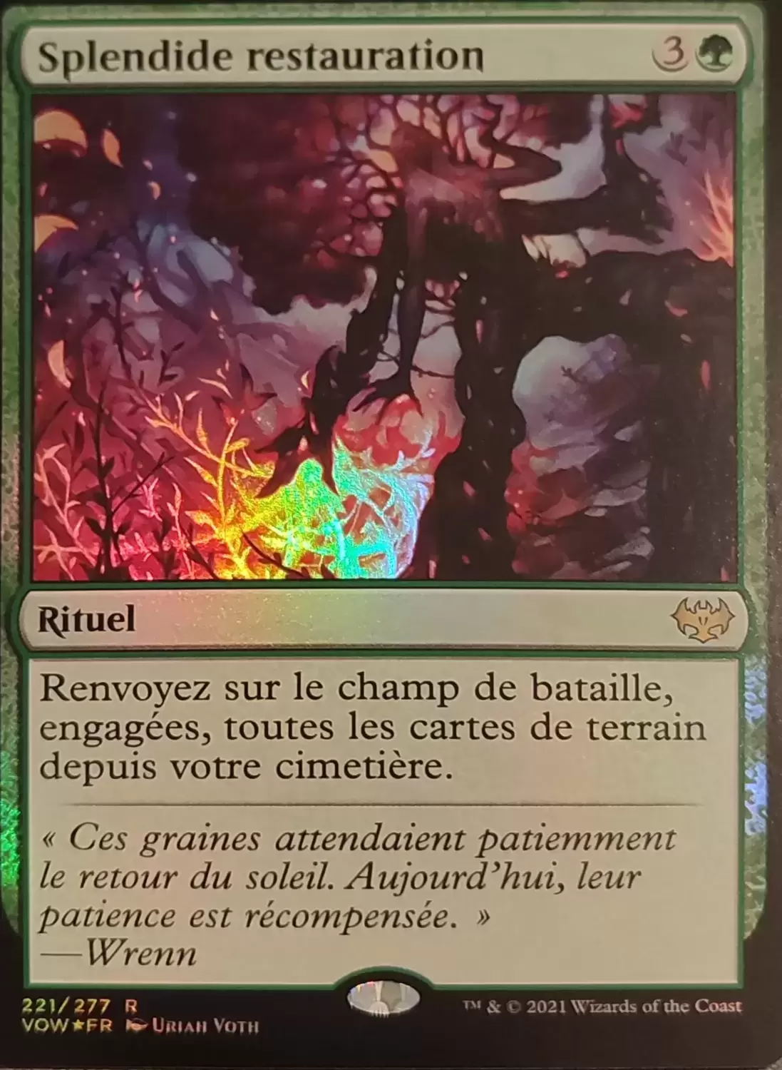 Extension - Splendide restauration Foil