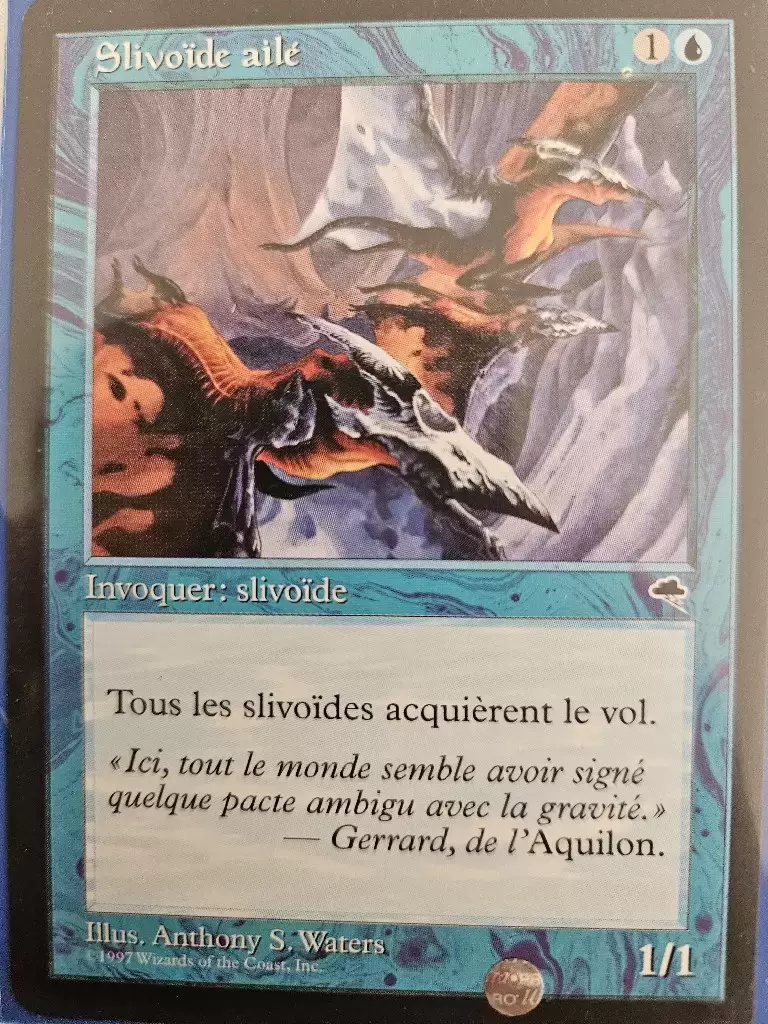 Tempête - Slivoïde ailé