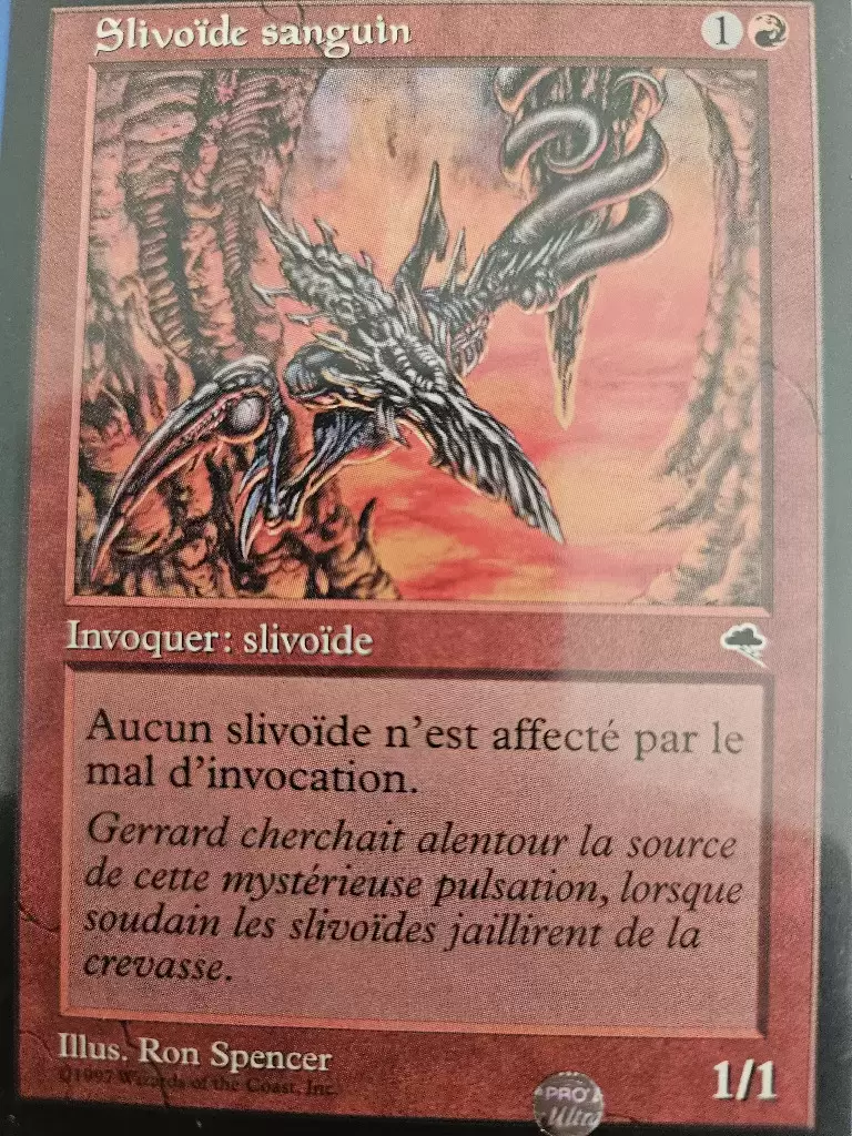 Tempête - Slivoïde sanguin