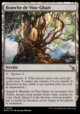 Meurtres au Manoir Karlov - Branche de Vitu-Ghazi