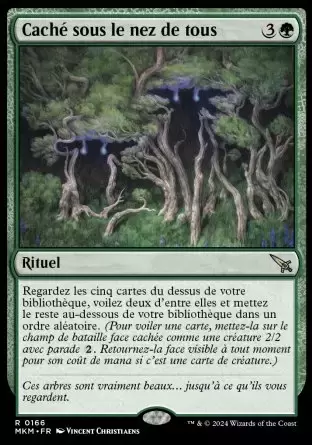 Meurtres au Manoir Karlov - Caché sous le nez de tous