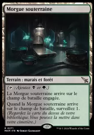 Meurtres au Manoir Karlov - Morgue souterraine