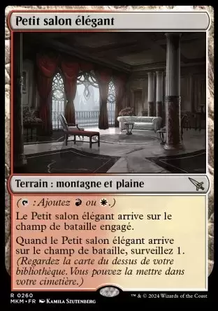 Meurtres au Manoir Karlov - Petit salon élégant
