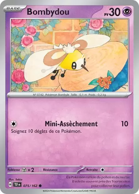 Forces Temporelles TEFFR - Bombydou