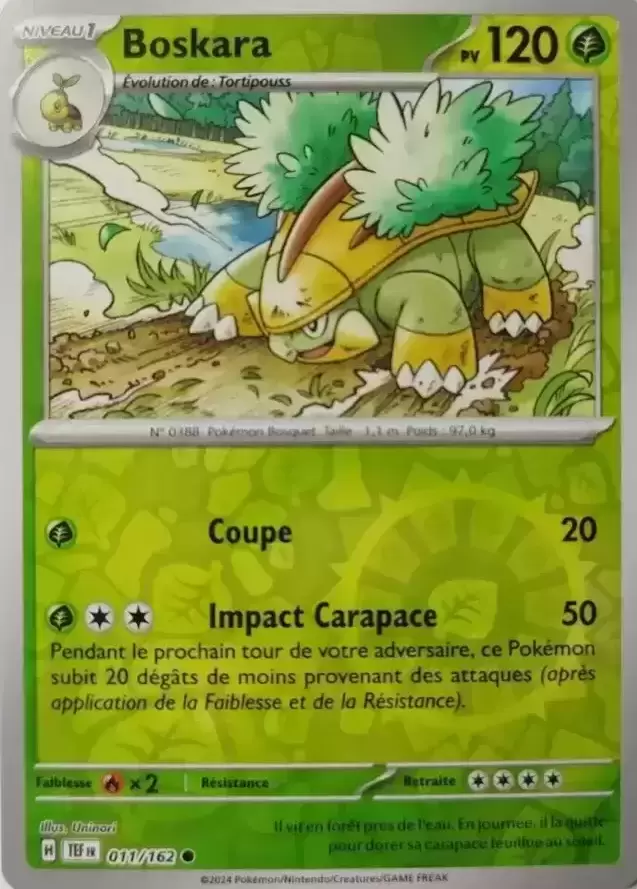 Forces Temporelles TEFFR - Boskara Reverse