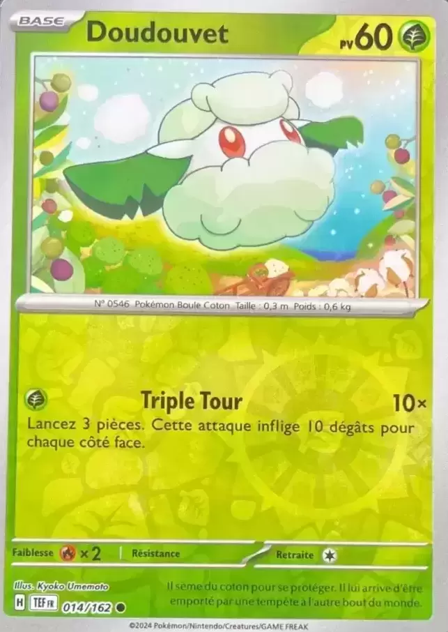 Forces Temporelles TEFFR - Doudouvet Reverse
