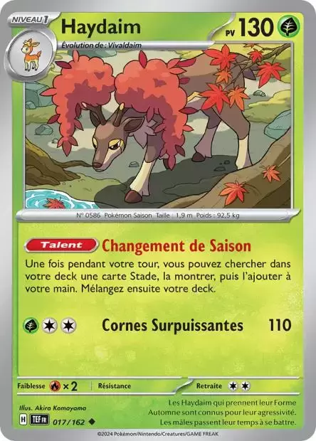 Forces Temporelles TEFFR - Haydaim