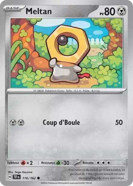 Forces Temporelles TEFFR - Meltan