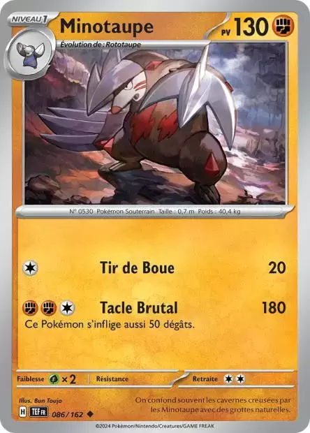 Forces Temporelles TEFFR - Minotaupe