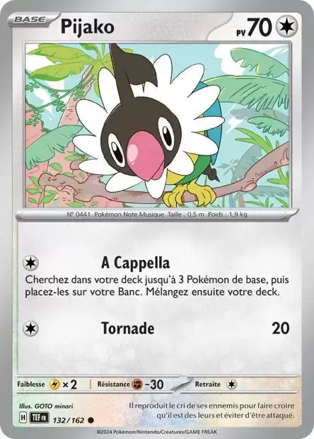 Forces Temporelles TEFFR - Pijako