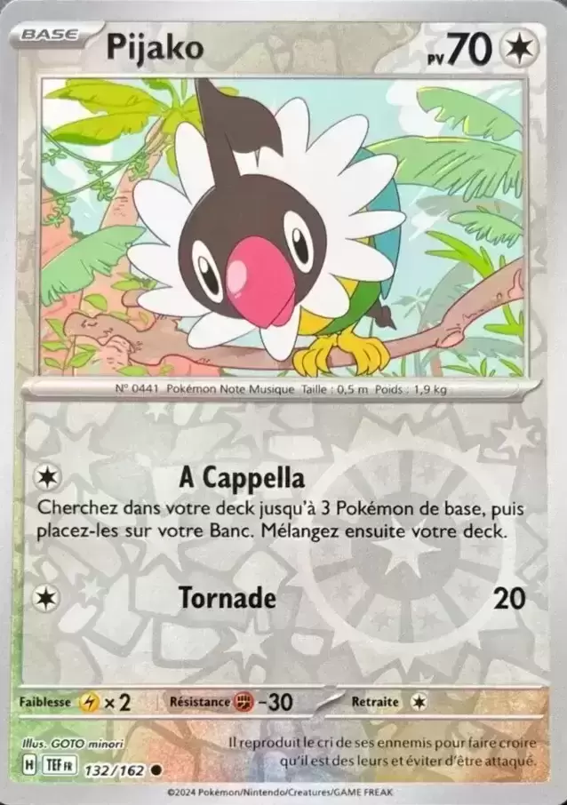 Forces Temporelles TEFFR - Pijako Reverse