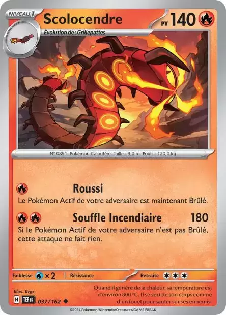 Forces Temporelles TEFFR - Scolocendre