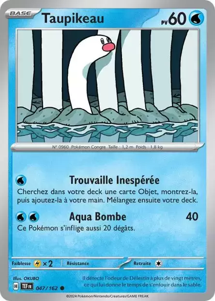 Forces Temporelles TEFFR - Taupikeau