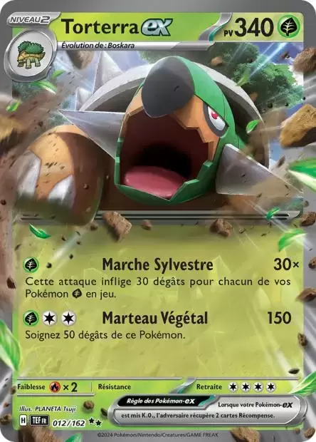 Forces Temporelles TEFFR - Torterra EX