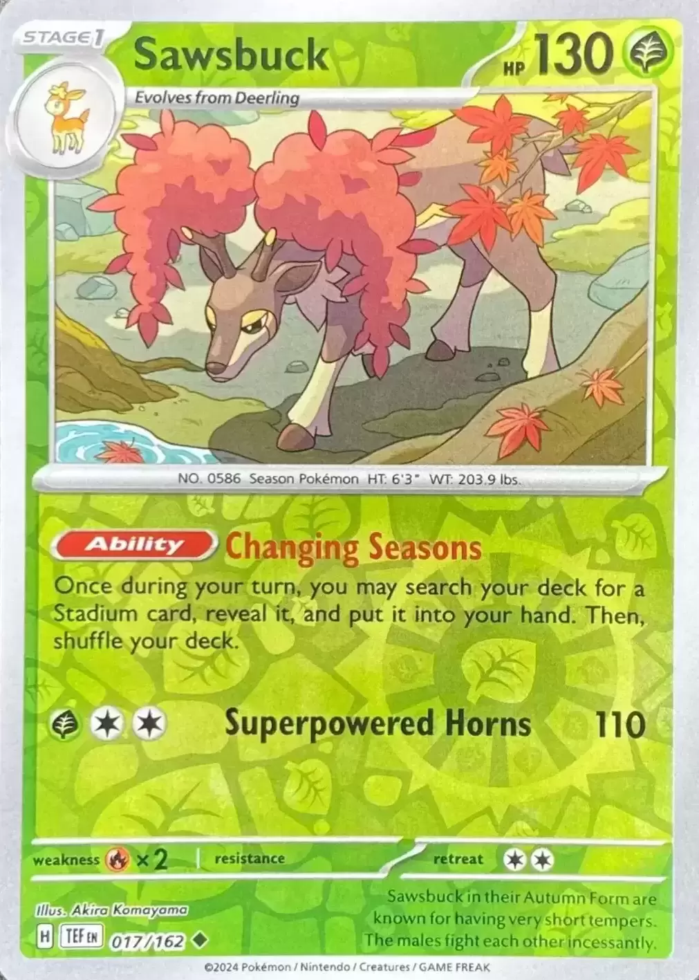 Temporal Forces TEFEN - Sawsbuck Reverse