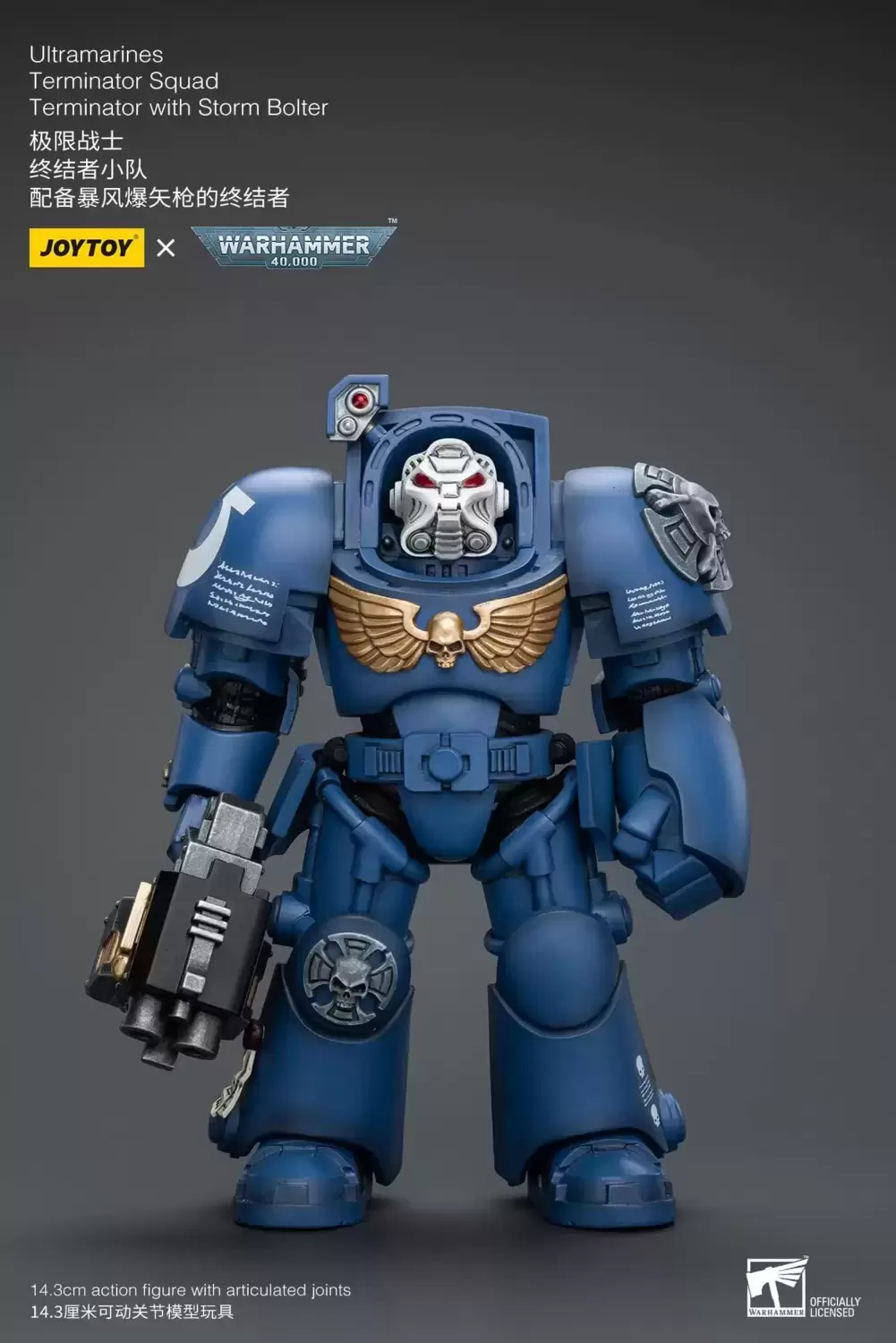Ultramarines - Ultramarines Terminator Squad Terminator with Storm Bolter