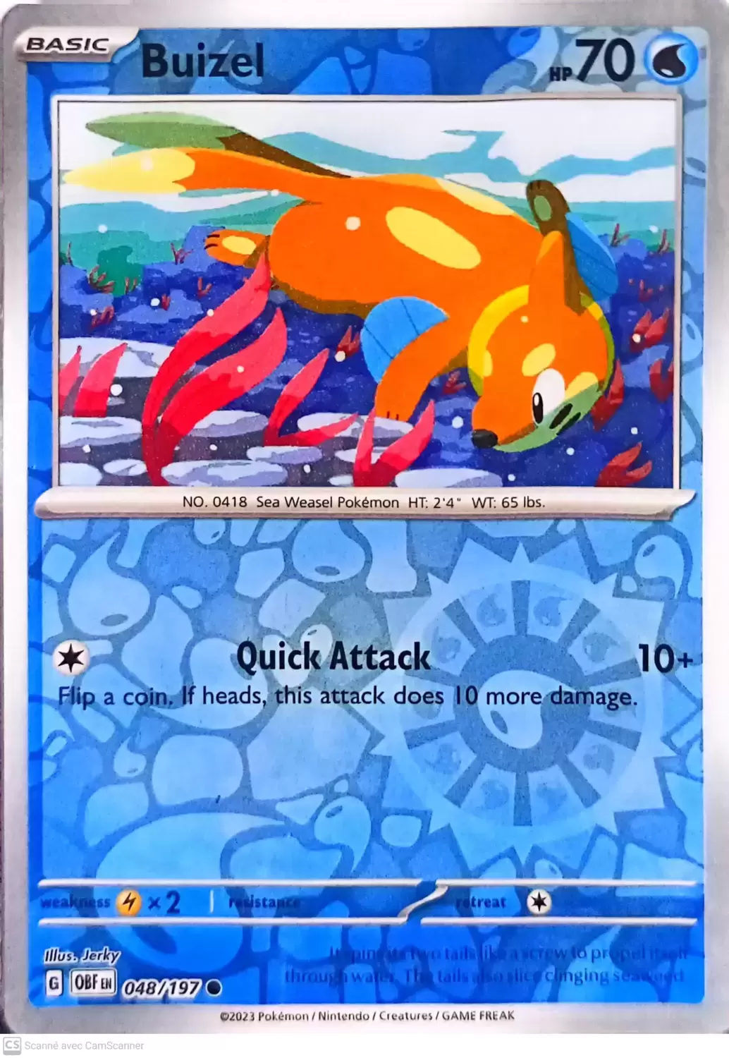 Obsidian Flames - OBF (OBFEN) - Buizel Reverse