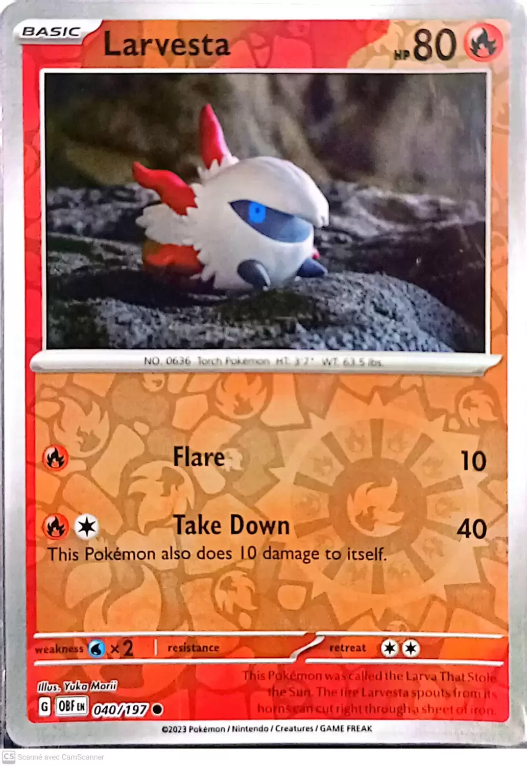 Obsidian Flames - OBF (OBFEN) - Larvesta Reverse