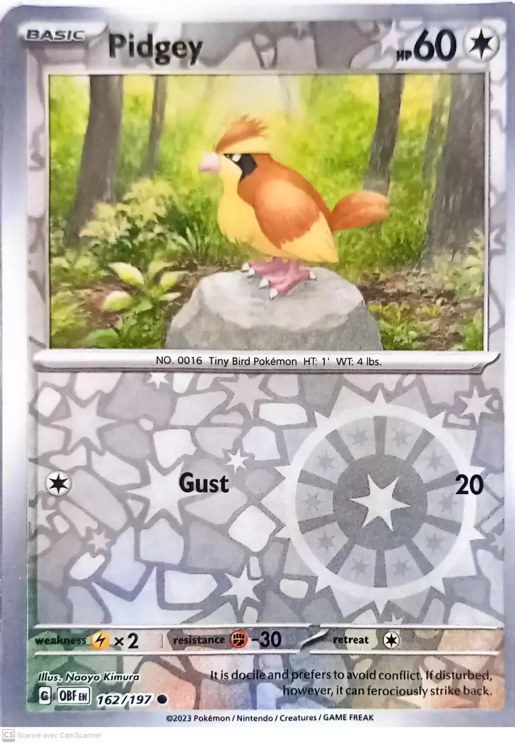 Obsidian Flames - OBF (OBFEN) - Pidgey Reverse