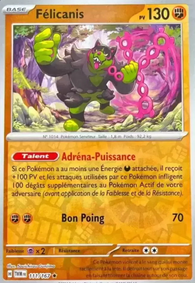Mascarade Crépusculaire TWMFR - Félicanis Reverse