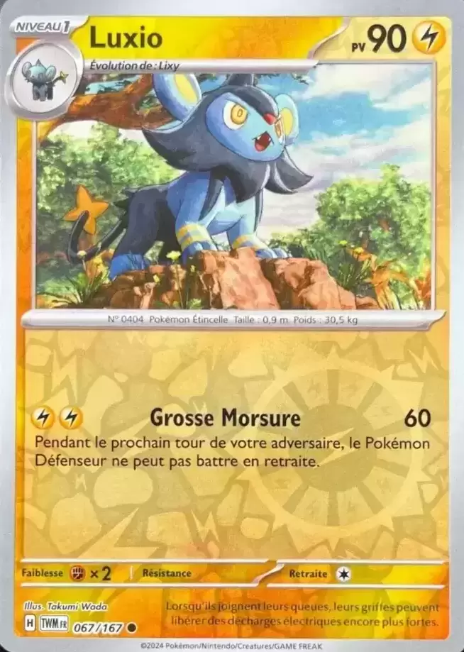 Mascarade Crépusculaire TWMFR - Luxio Reverse