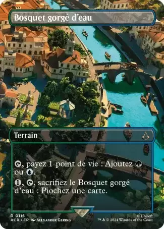 Assassin\'s Creed - Bosquet gorgé d\'eau