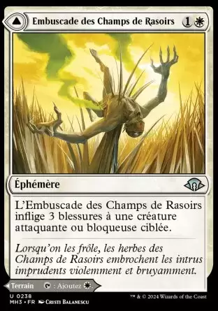 Horizons du Modern III (3) - Embuscade des Champs de Rasoirs