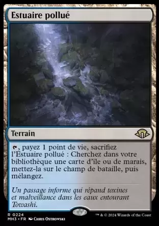Horizons du Modern III (3) - Estuaire pollué