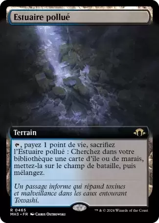 Horizons du Modern III (3) - Estuaire pollué