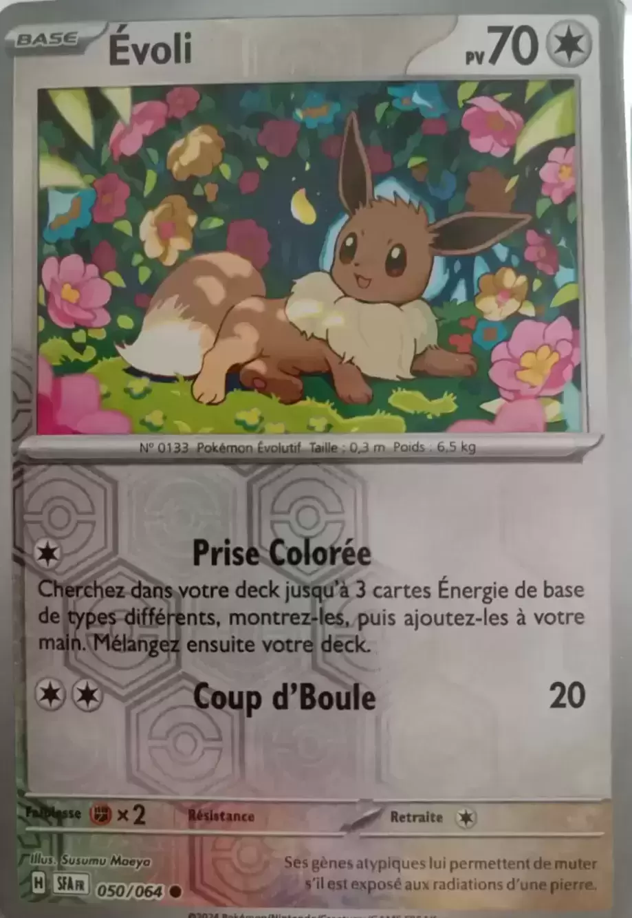 Fable Nébuleuse - SFAFR - Évoli Reverse