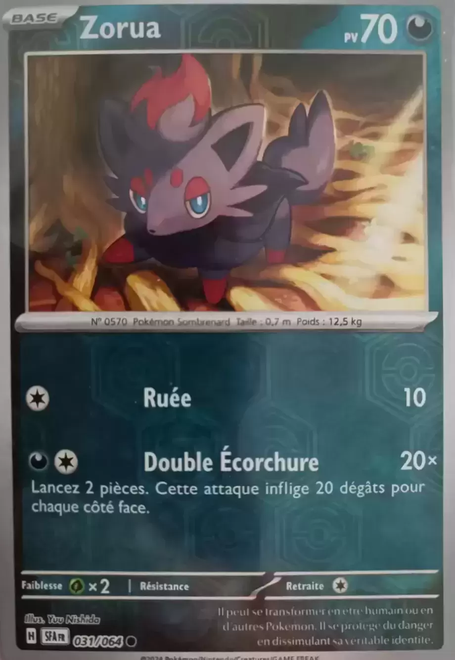 Fable Nébuleuse - SFAFR - Zorua Reverse