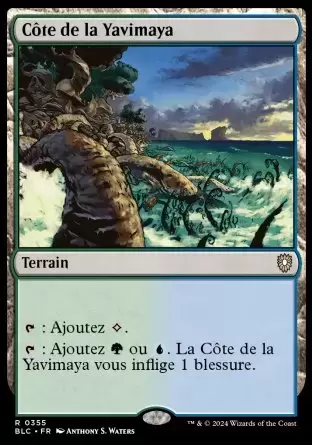 Bloomburrow Commander Decks - Côte de la Yavimaya