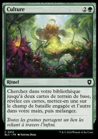 Bloomburrow Commander Decks - Culture