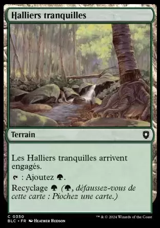 Bloomburrow Commander Decks - Halliers tranquilles