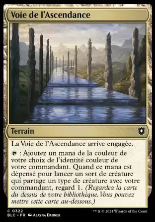 Bloomburrow Commander Decks - Voie de l\'Ascendance